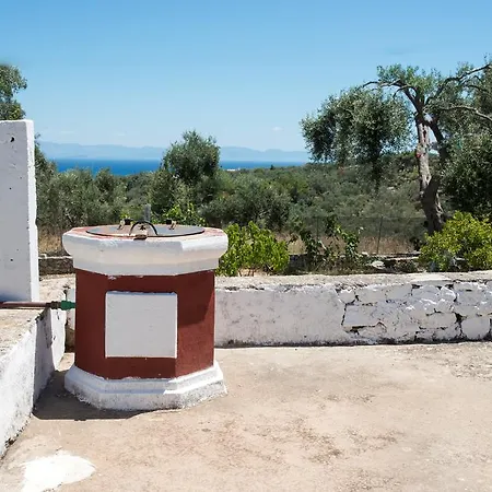 Ranias Dell Olivetto